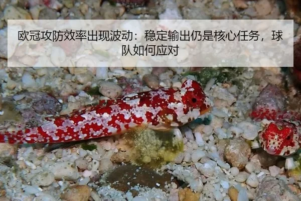 ou-guan-gong-fang-xiao-lv-chu-xian-bo-dong-wen-ding-shu-chu-reng-shi-he-xin-ren-wu-qiu-dui-ru-he-ying-dui-2-974.jpg